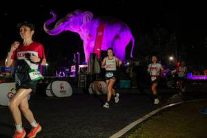 BIB: 
                            <button type="button" onclick="openModal(26534911)" class="btn btn-primary btn-sm float-right btn-popup" data-toggle="modal" data-target=".modal-high-quality">
                        <i class="fas fa-shopping-cart"></i> Add to Cart
                    </button>
                                            <button type="button" onclick="isThisMe(26534911, true)" class="btn btn-success btn-sm float-right btn-popup btn-isme hidden" data-toggle="tooltip" data-placement="bottom" title="นี่คือรูปของคุณใช่ไหม คลิกที่นี่เพื่อเอาเข้าอัลบั้ม">
                        <i class="fas fa-plus"></i> Add to album
                    </button>
                    <button type="button" onclick="isThisMe(26534911, false)" class="btn btn-warning btn-sm float-right btn-popup btn-isnotme hidden">
                        <i class="fas fa-ban"></i> Remove from album
                    </button>